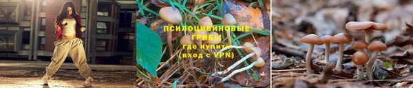 кокс Лиски