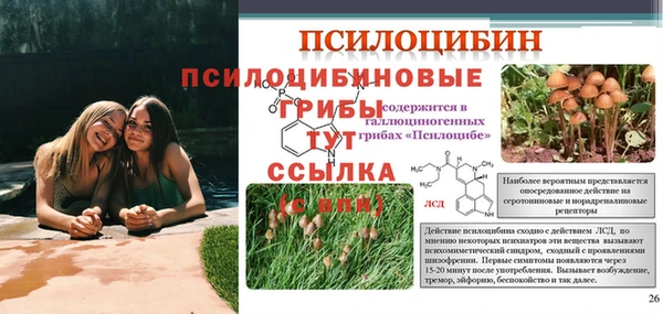 скорость Лихославль