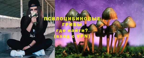 mdpv Липки