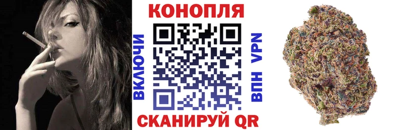Каннабис планчик Чусовой